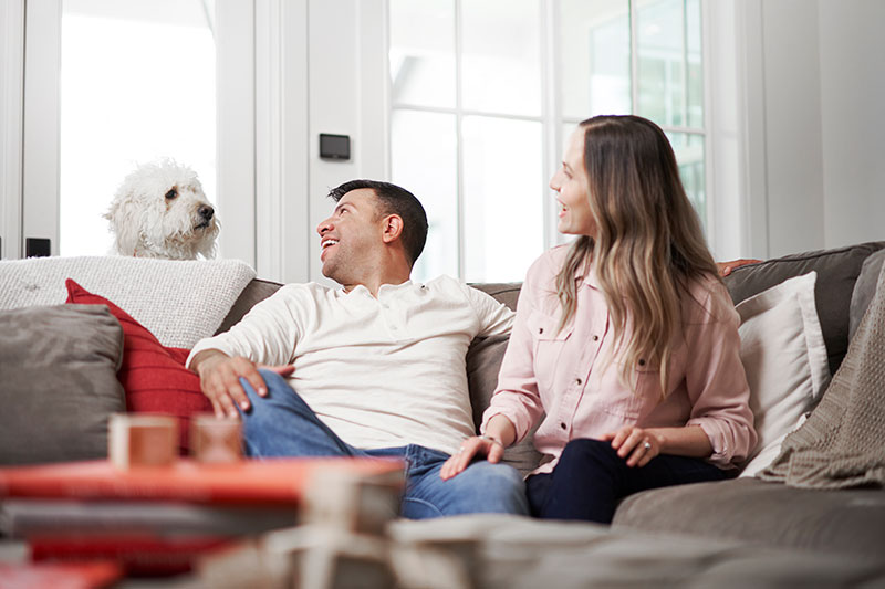 Is It True Air Purifiers Reduce Allergies?