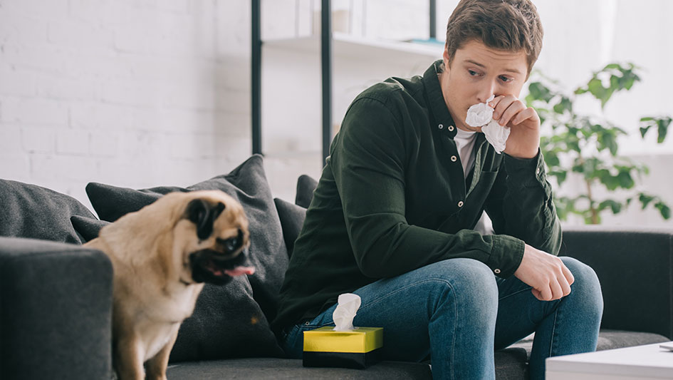 Getting an air purifier is one of the top methods to boost your home’s indoor air quality. Find out more about the three top products. 